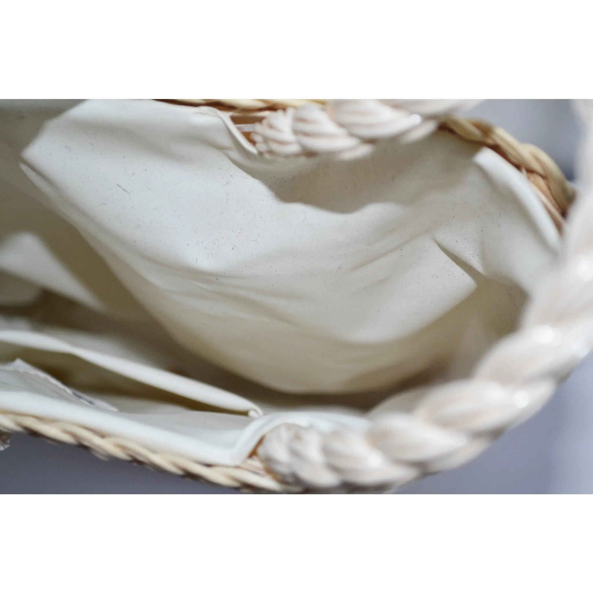 Insect White Straw Basket Purse