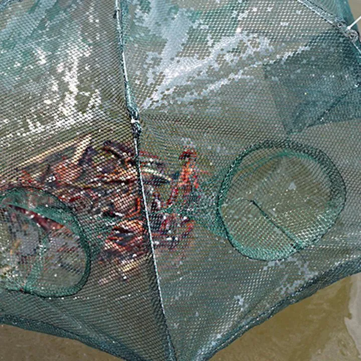 Jackpot Fishing Trap