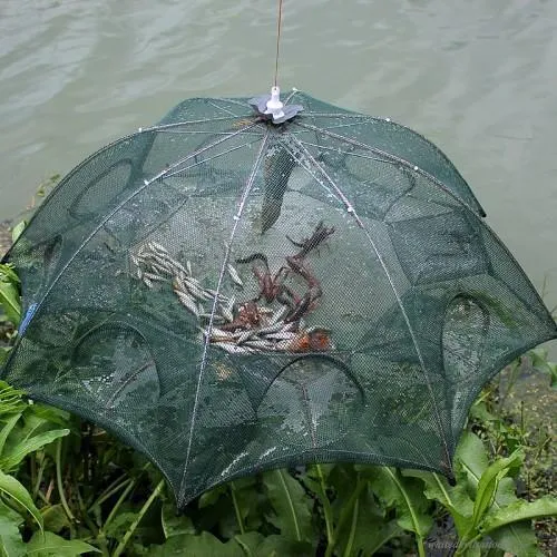 Jackpot Fishing Trap