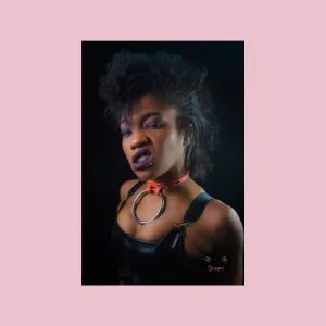 Jett vegan biothane or leather collar