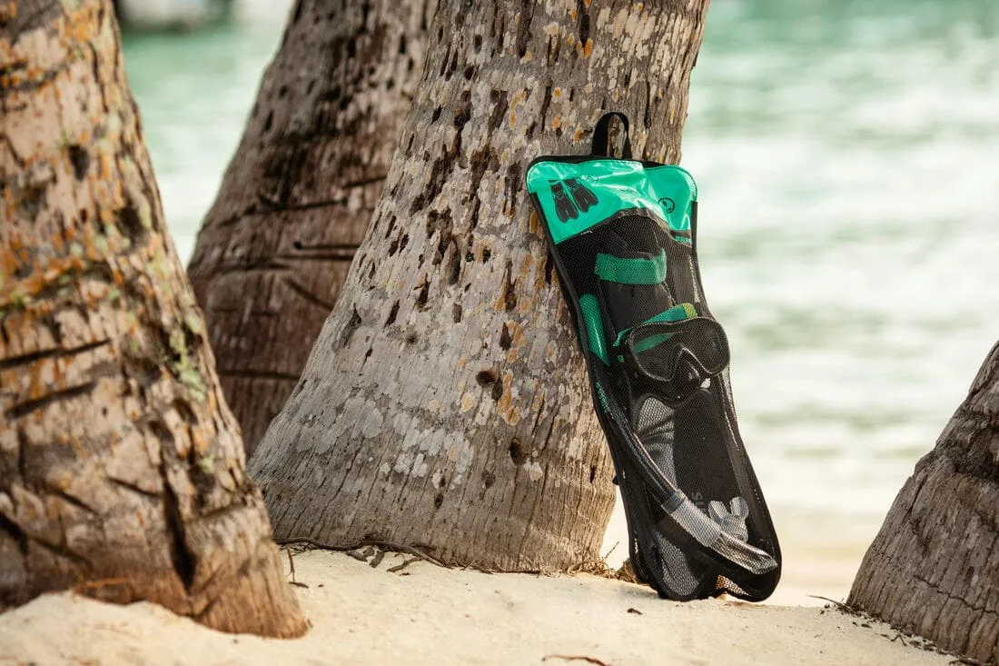 Kit de snorkeling R'Gomoove Adulte noir vert