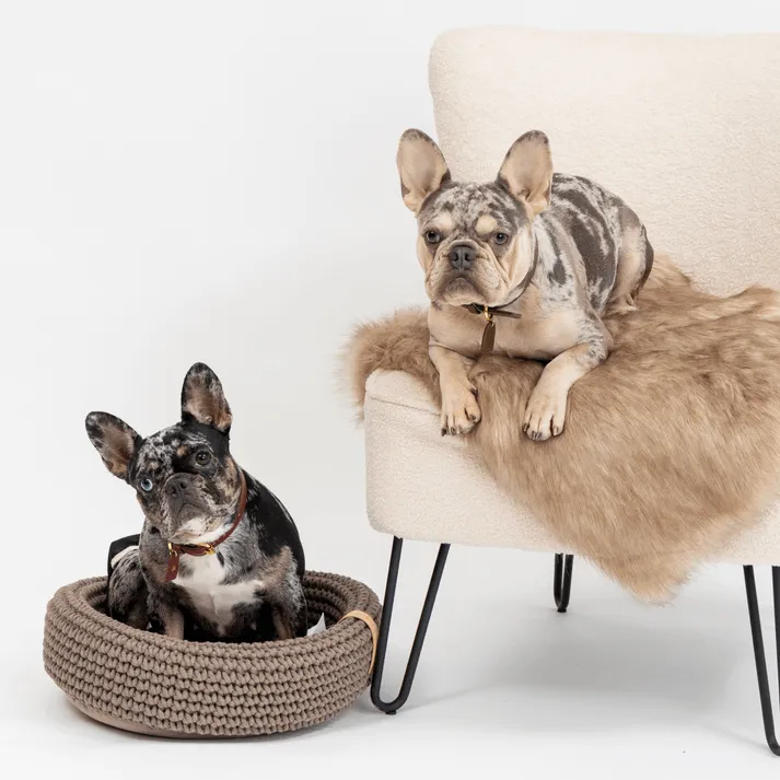 Labbvenn COCO Pet Bed