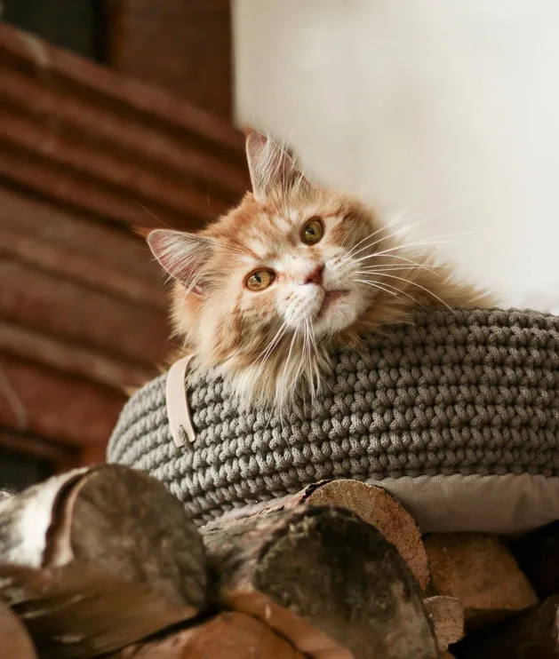 Labbvenn COCO Pet Bed