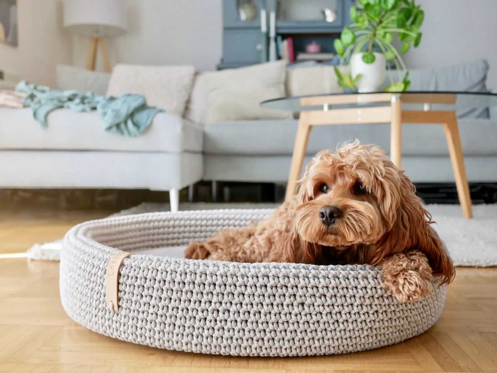 Labbvenn LUKKO Dog Bed