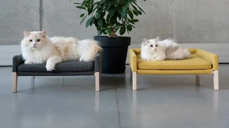 Labbvenn LULU Pet Bed