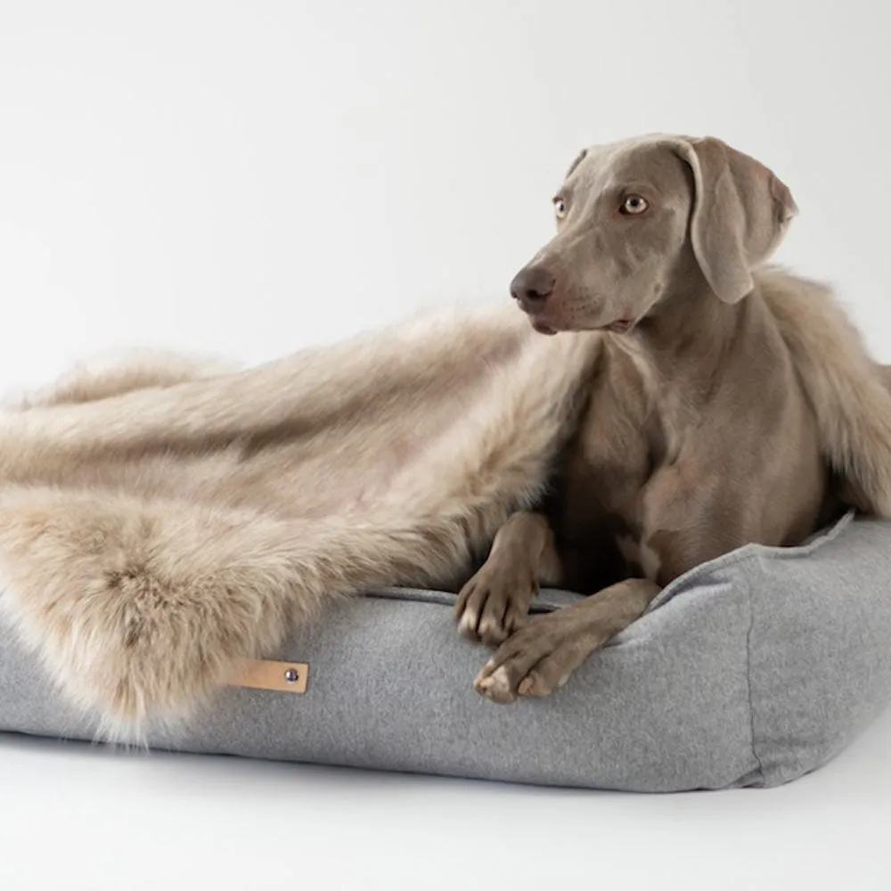 Labbvenn MØVIK Dog Bed