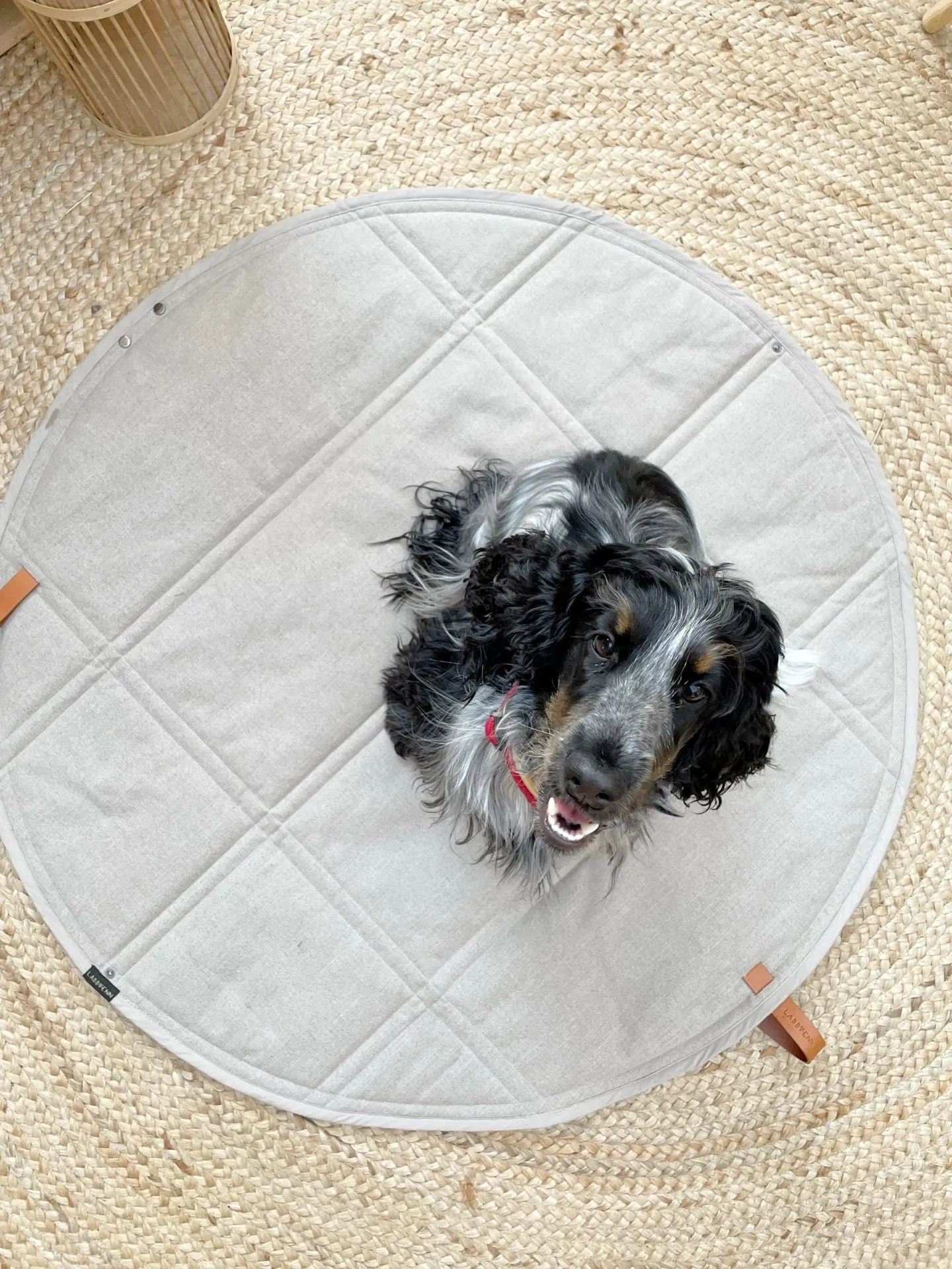 Labbvenn Okka Dog Travel Mat
