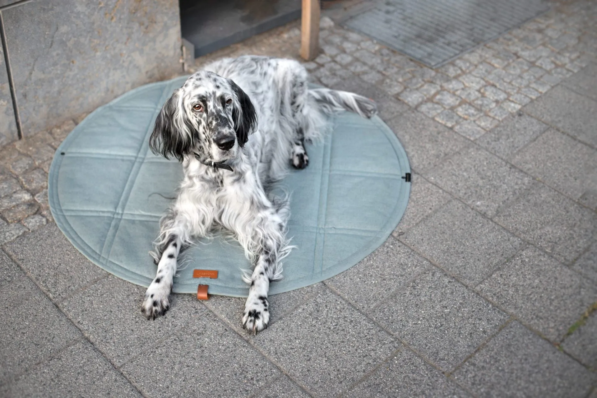 Labbvenn Okka Dog Travel Mat