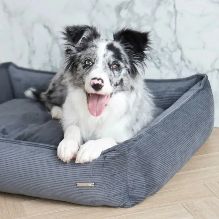 Labbvenn STRIPPO Dog Bed