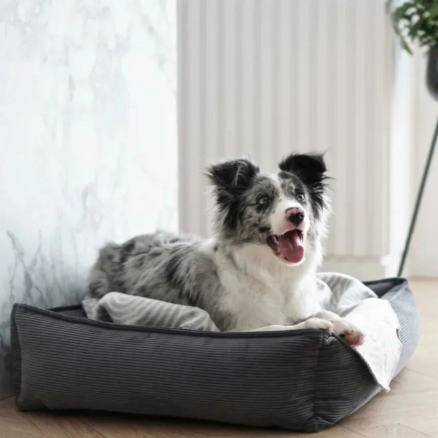Labbvenn STRIPPO Dog Bed