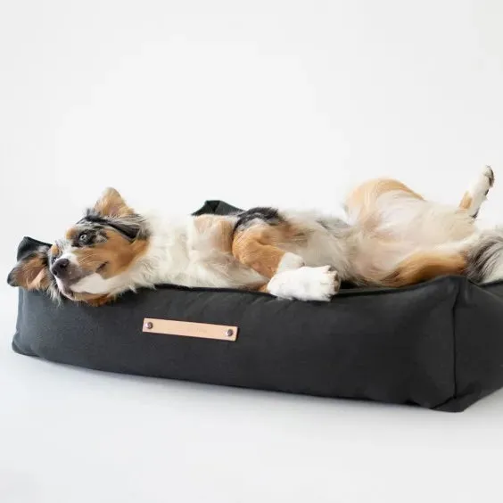 Labbvenn TÖVE Dog Cushion