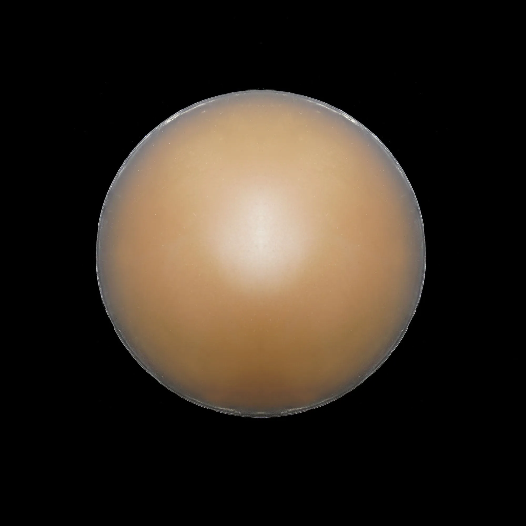 LACE CAFÉ: SILICONE NIPPLE COVERS