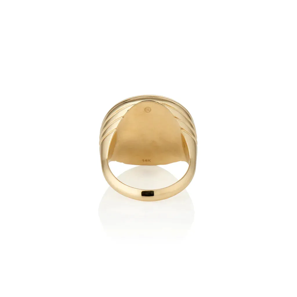 Lapis & Lotus Garnet Compass Signet Ring