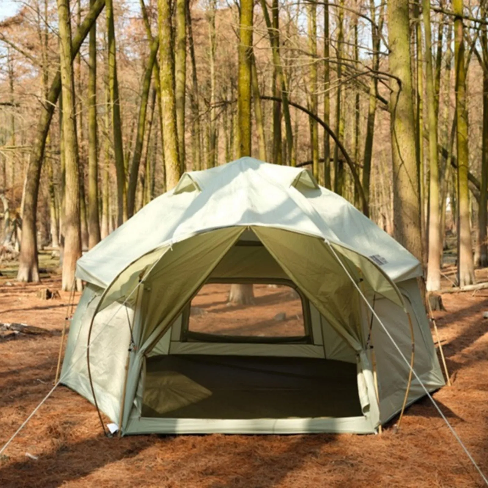Large Space Luxury Frog Hexagonal Tent 5-8 Person Double Layer All Weather Easy Setup Tents