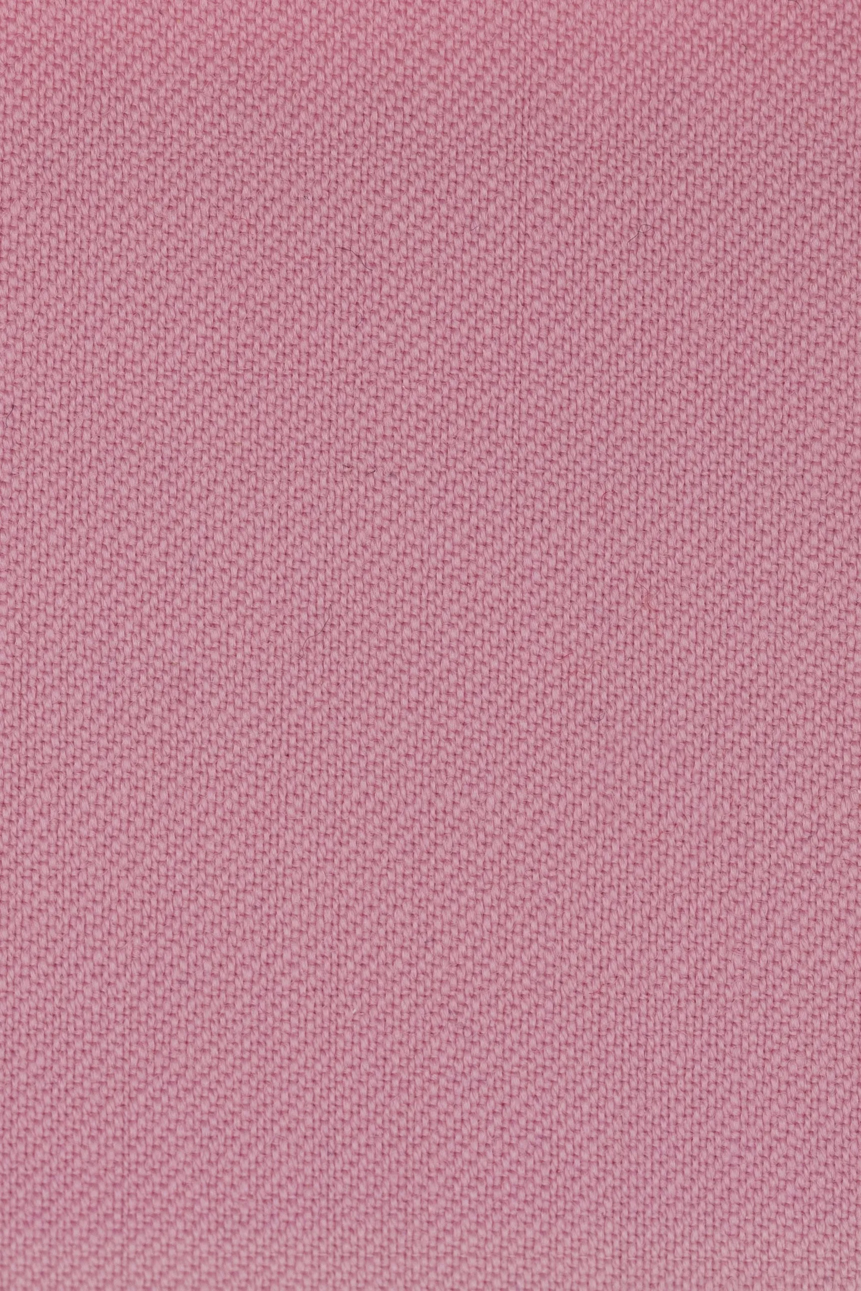 Lavish Lilac