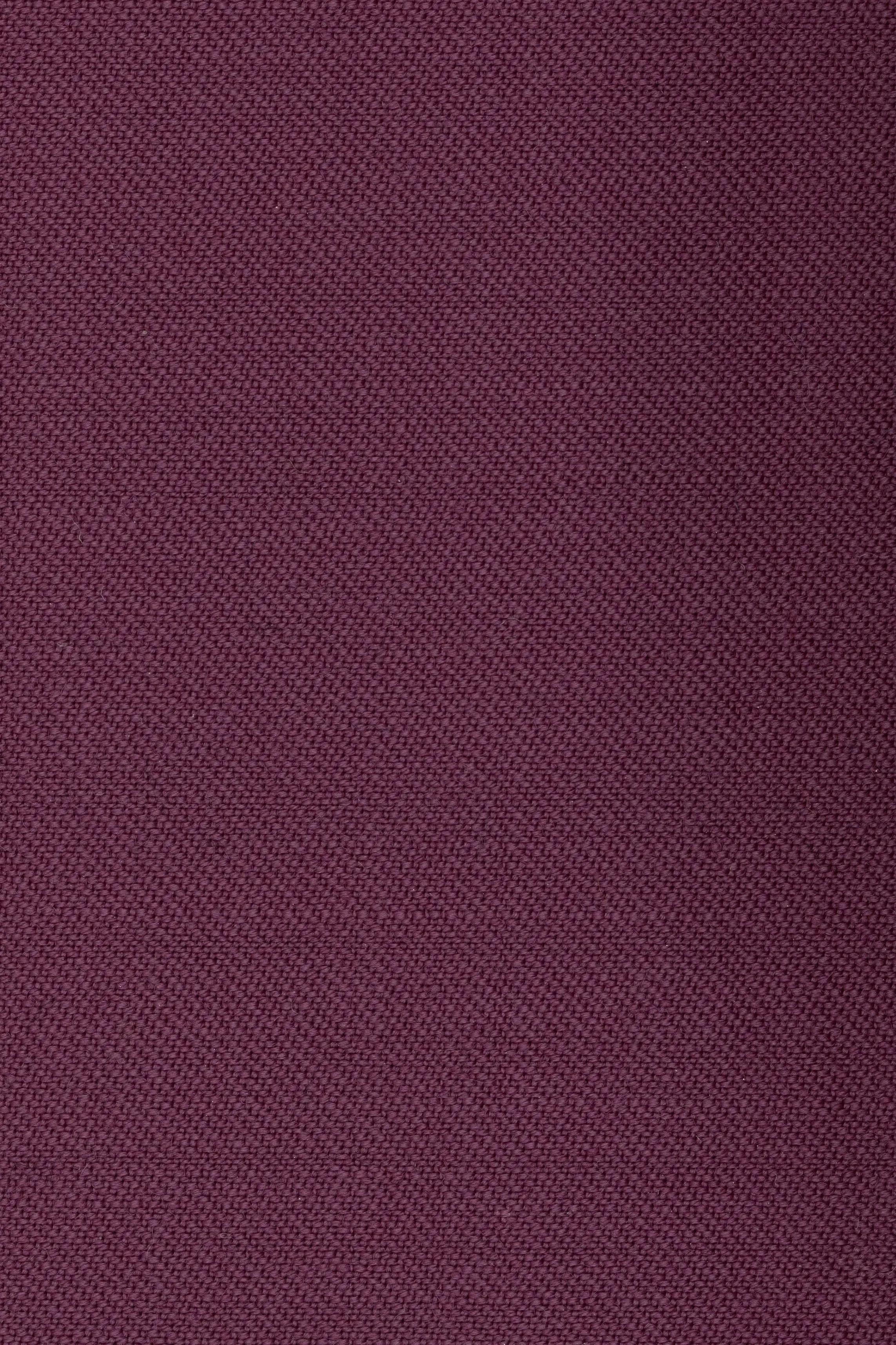 Lavish Lilac