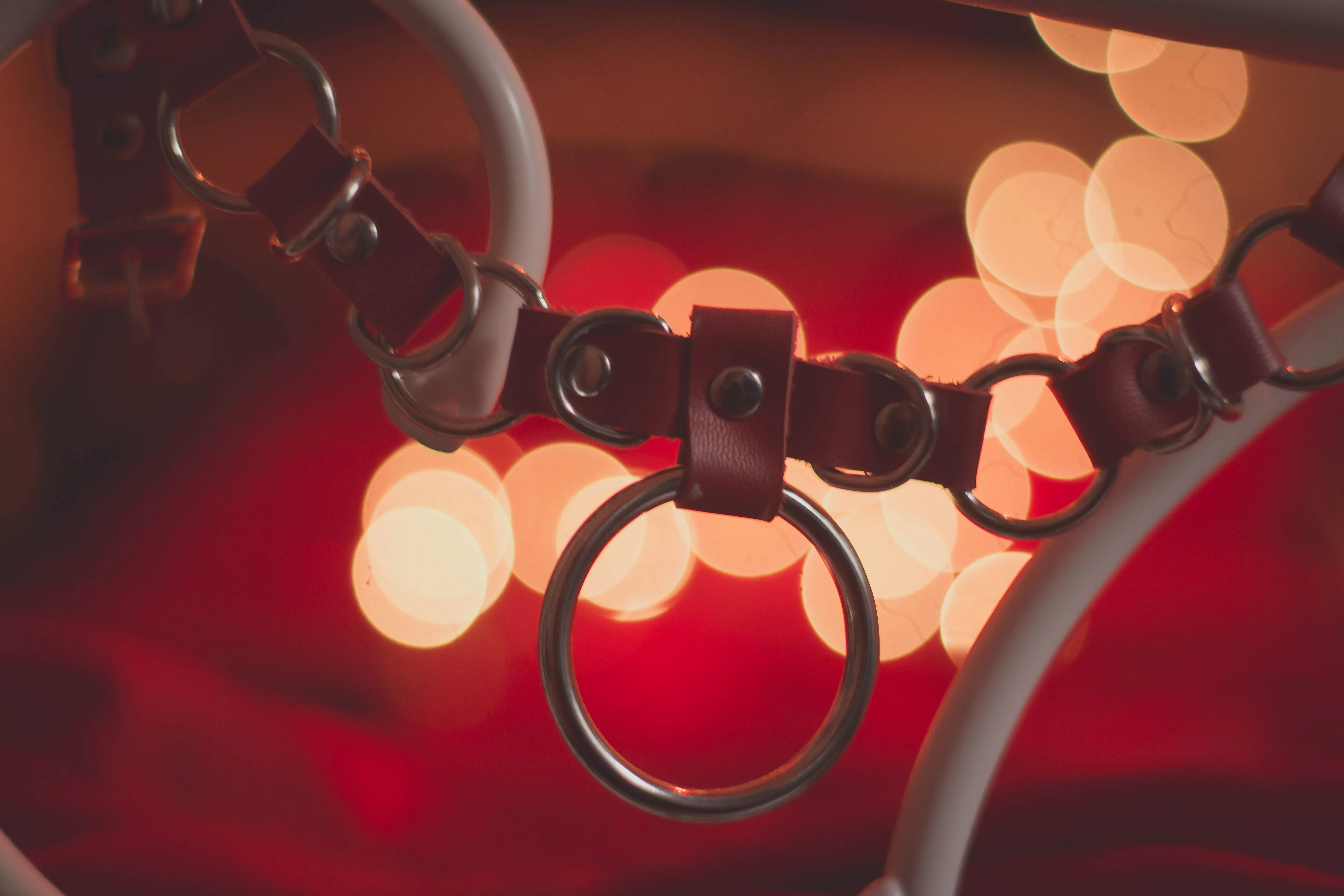 Lina leather o ring collar