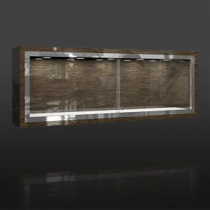 LX06 Wall Mounted Jewelry Glass Display Showcase w/ LED Lights