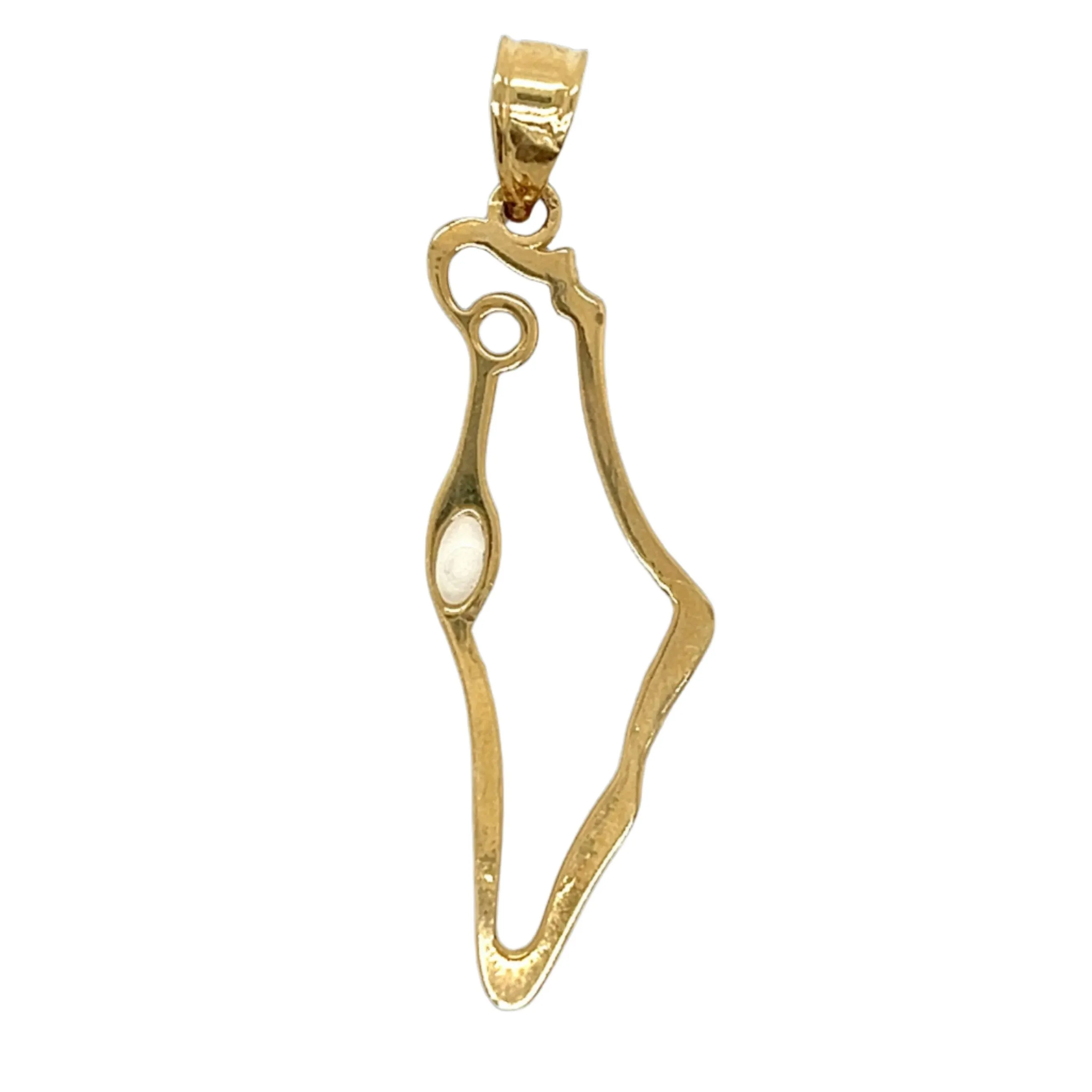 Map of Holy Land Israel 14K Gold 2" Judaica Jewelry Charm Pendant