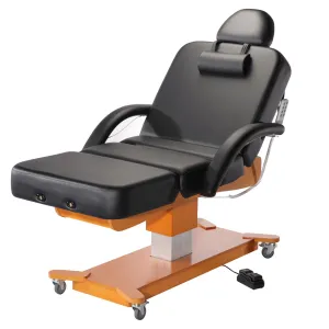Master Massage Maxking Salon Electric Spa Table