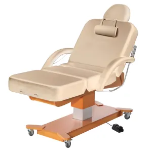 Master Massage Maxking Salon Electric Spa Table