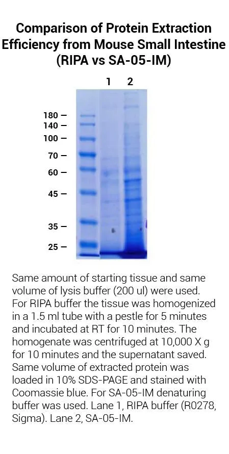 Minute™ Total Protein Extraction Kit for Intestines and Mesentery (50 Preps)