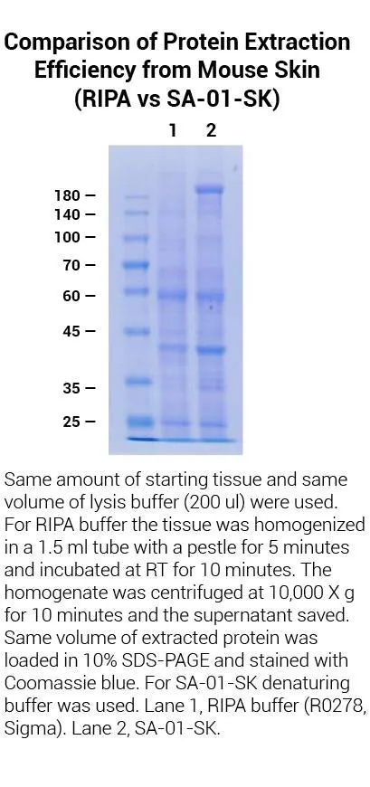Minute™ Total Protein Extraction Kit for Skin Tissue (50 Preps)