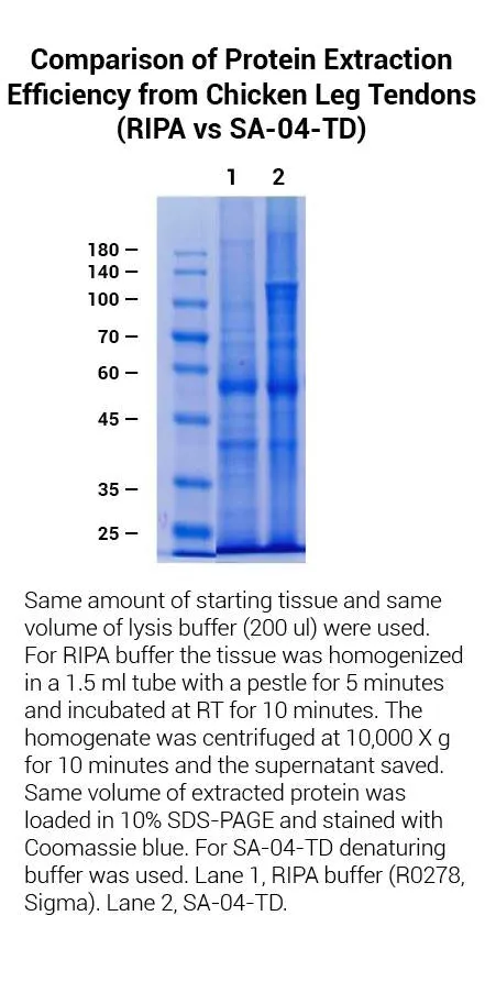 Minute™ Total Protein Extraction Kit for Tendons (50 Preps)