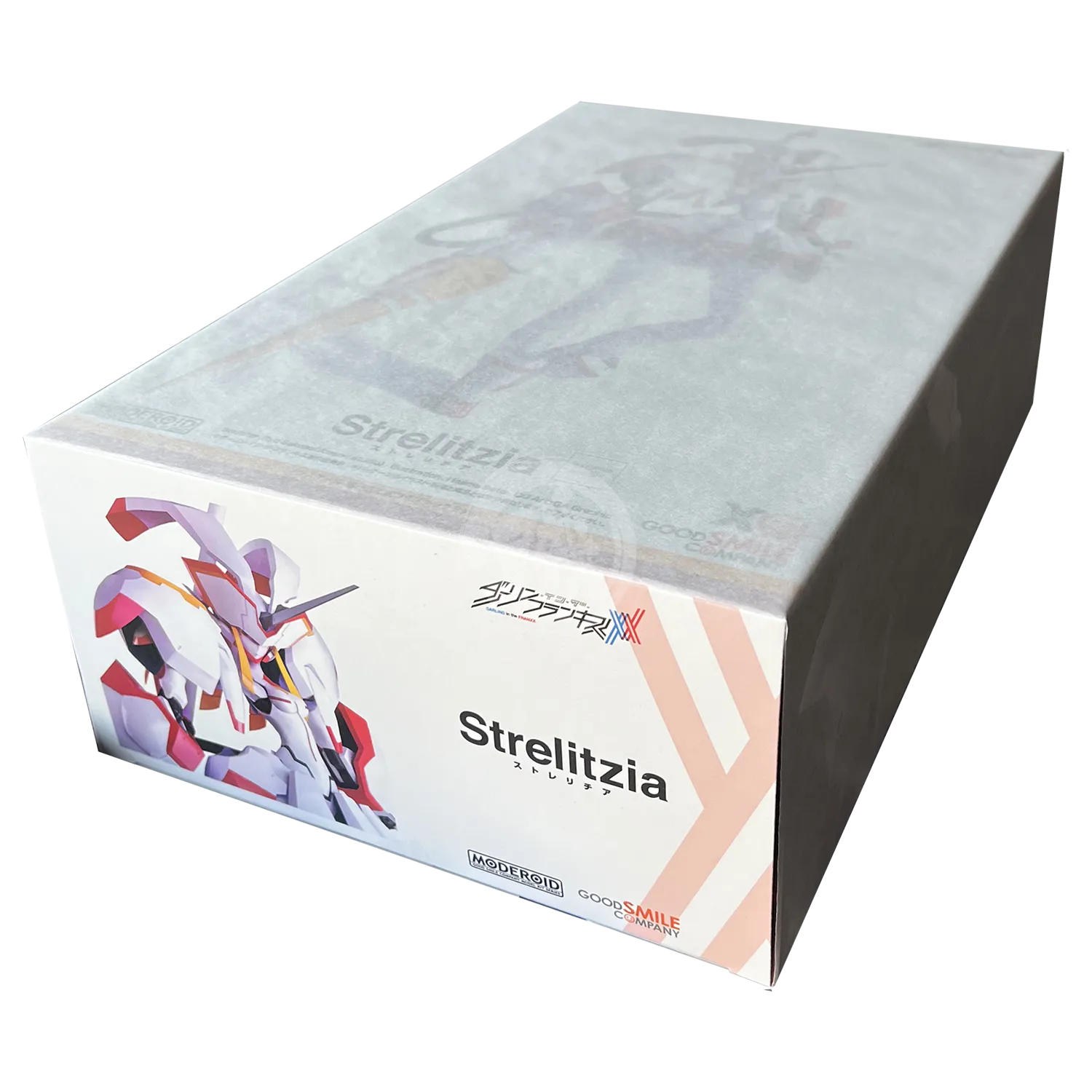 Moderoid Strelitzia