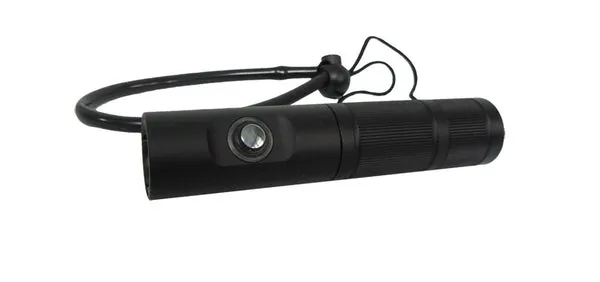 Neptune WP02 Torch Light 1000 Lumens