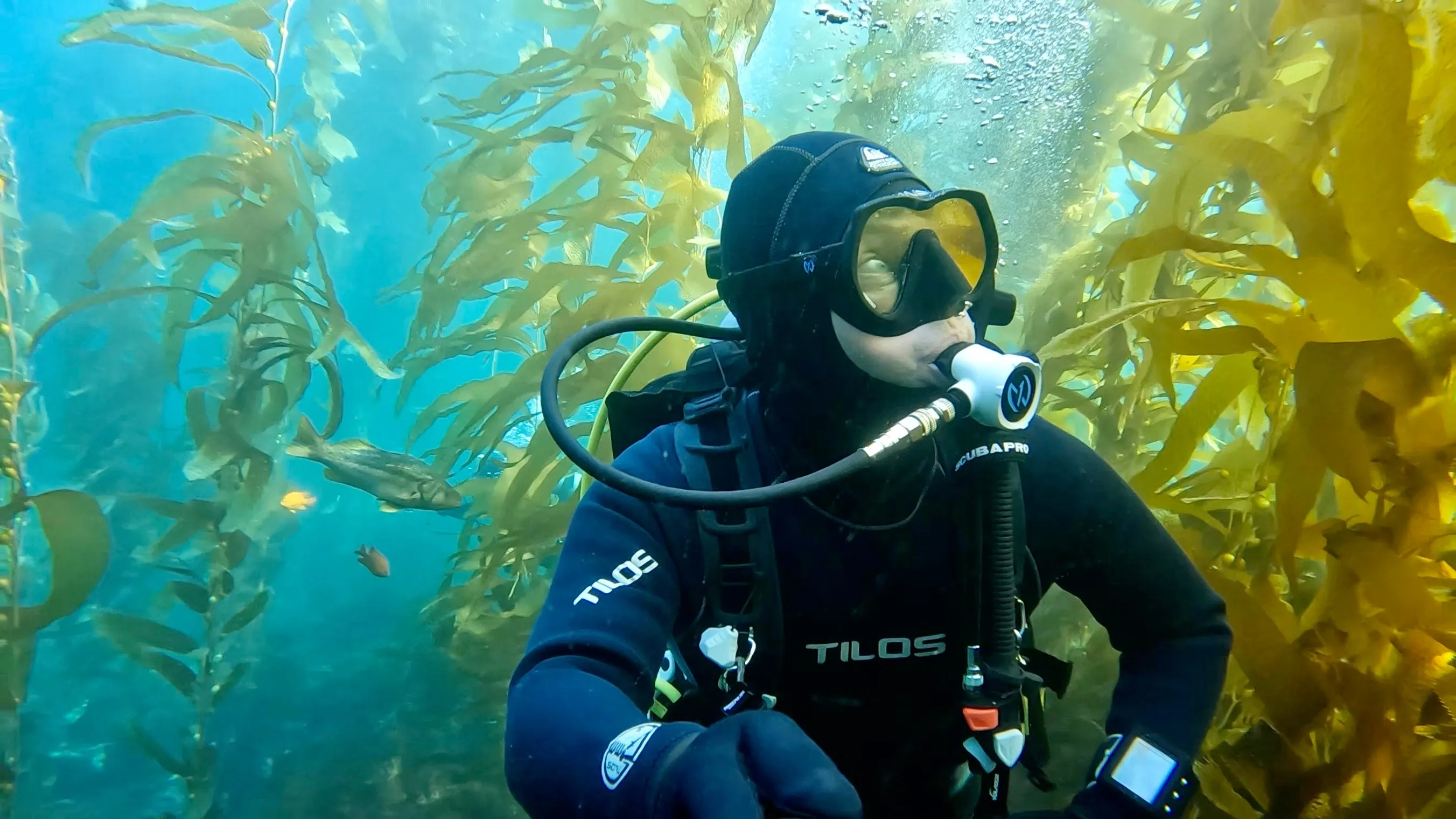 NEX ABI Dive Mask Frameless