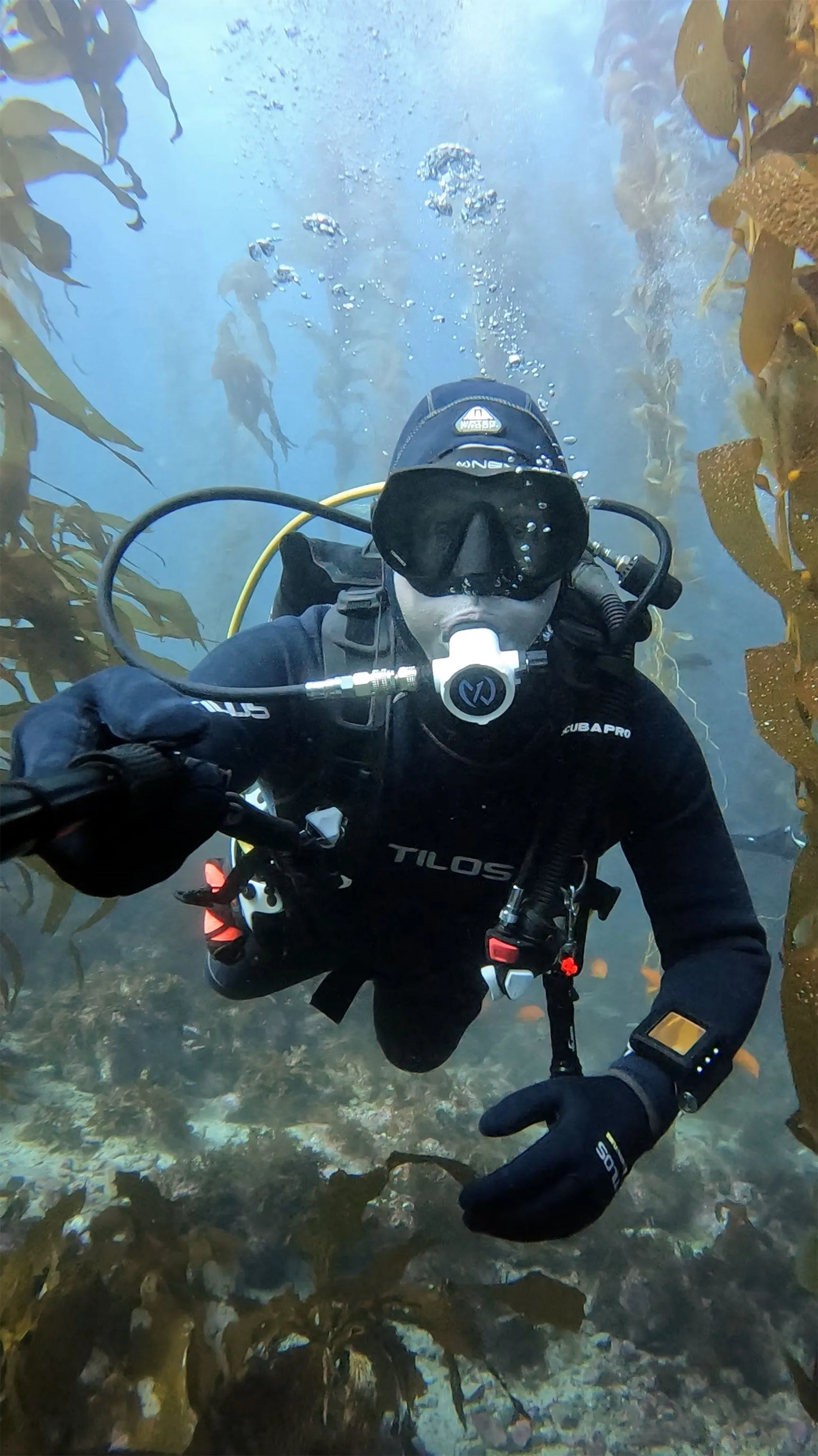 NEX ABI Dive Mask Frameless