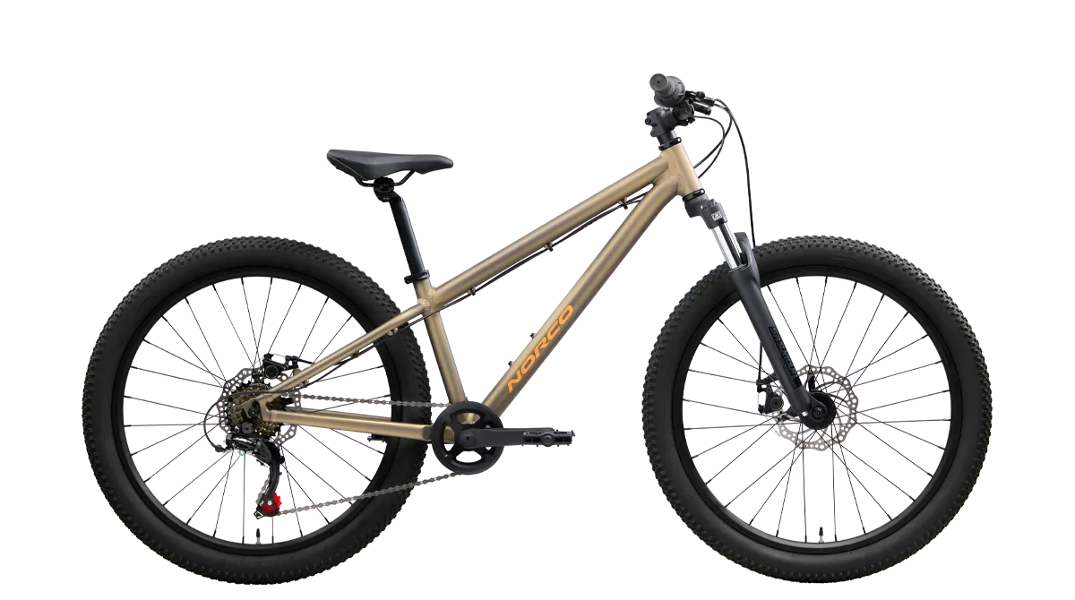 Norco Storm 24 ** In Store Pick Up Only**
