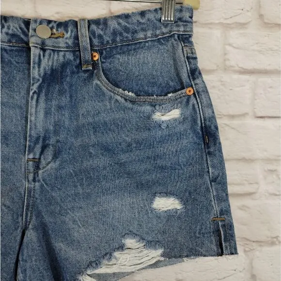 O BlankNYC The Barrow Cut Off Vintage High Rise Denim Shorts Fare Warning NWT 29