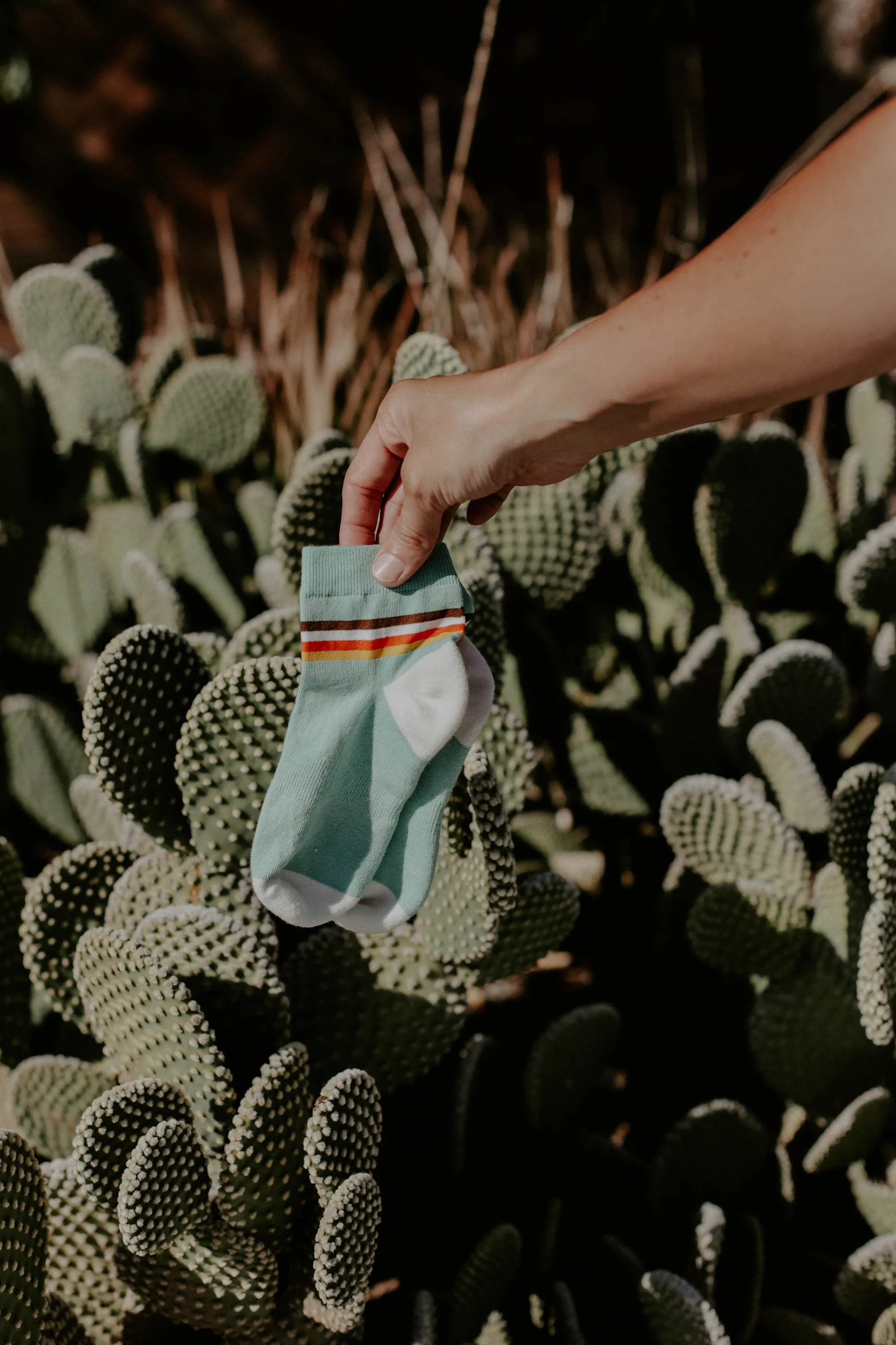 Ocean Retro Stripe Shorty