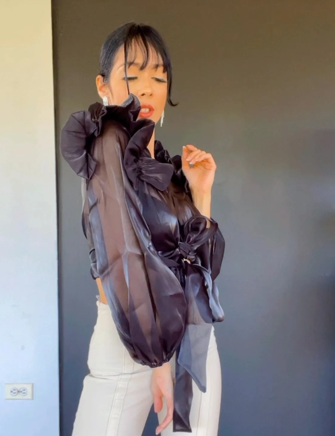 Organza Ruffle Shoulder Long Sleeve Top