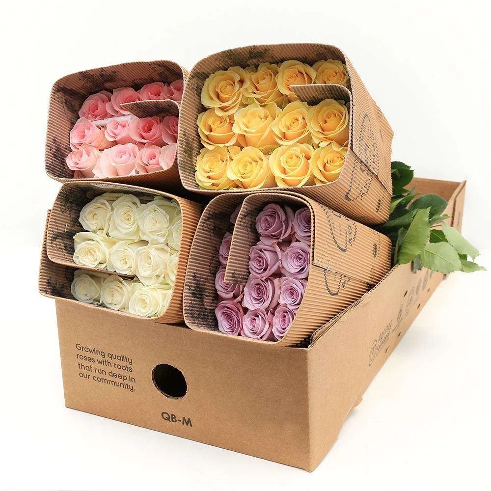 Pastel Colors Roses