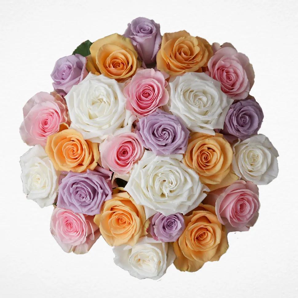 Pastel Colors Roses