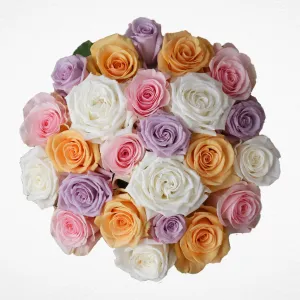 Pastel Colors Roses