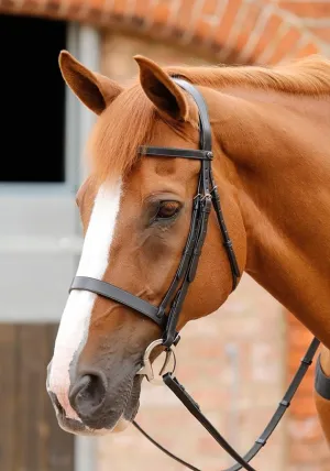PE Primo Hunter Bridle