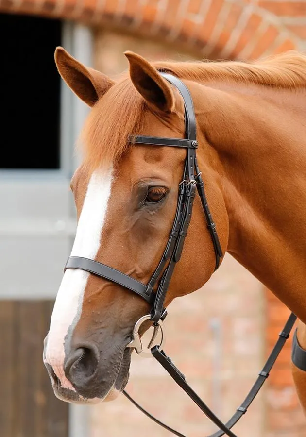 PE Primo Hunter Bridle