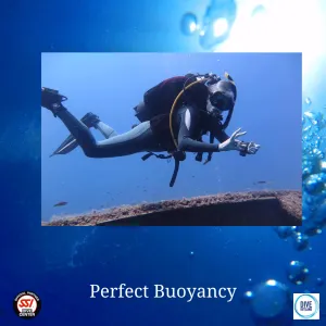 Perfect Buoyancy Diver: SSI