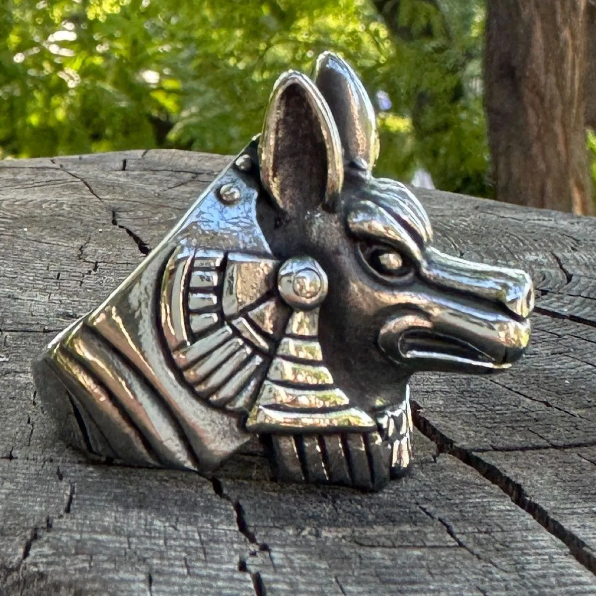 Pharaoh's Companion Ring (#756)