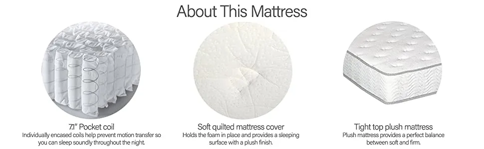 Primo International Solar 9-Inch Tight Top Pocket Coil Mattress, Queen, White! Retails $508 W/tax!