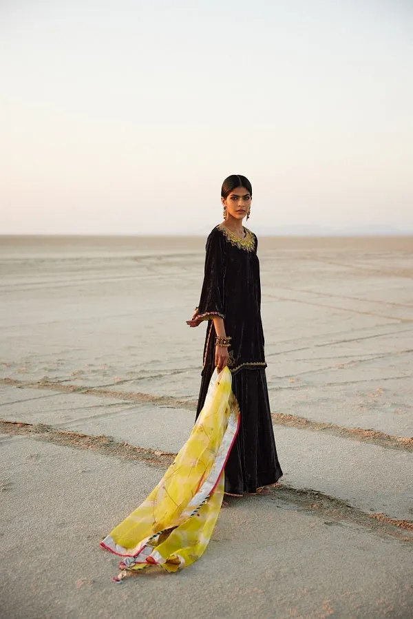 Raji Ramniq   I   Charcoal Black Lime Silk Velvet Gharara Set Dupatta We-110