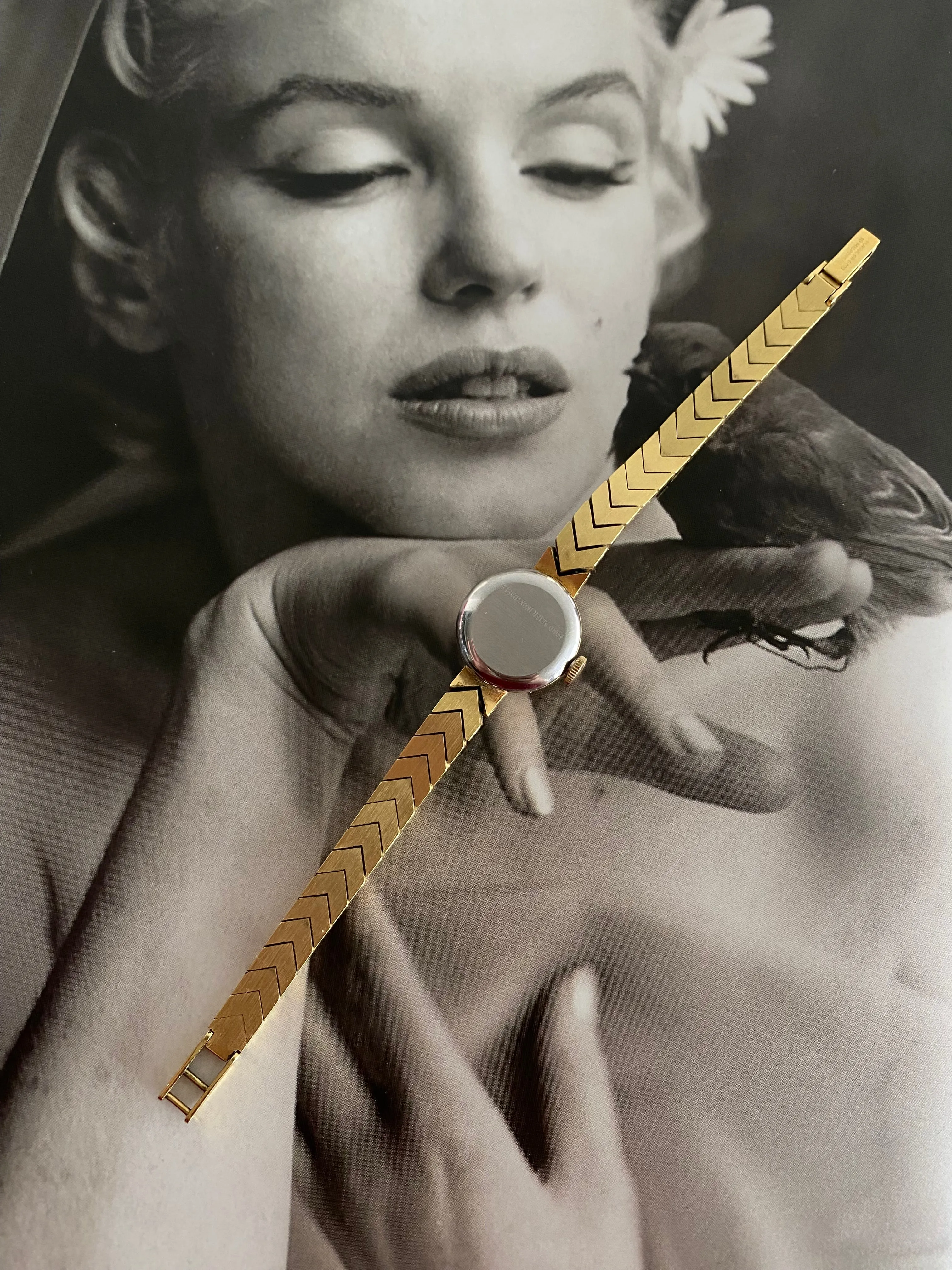 Rare Vintage 1960s Dainty Wyant Geneve 10 Microns Gold Plated Ladies Mechanical Watch
