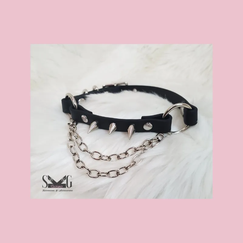 Rayne vegan biothane or leather collar