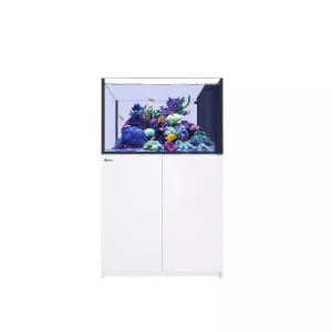 Red Sea Reefer Peninsula G2   Deluxe 350 White