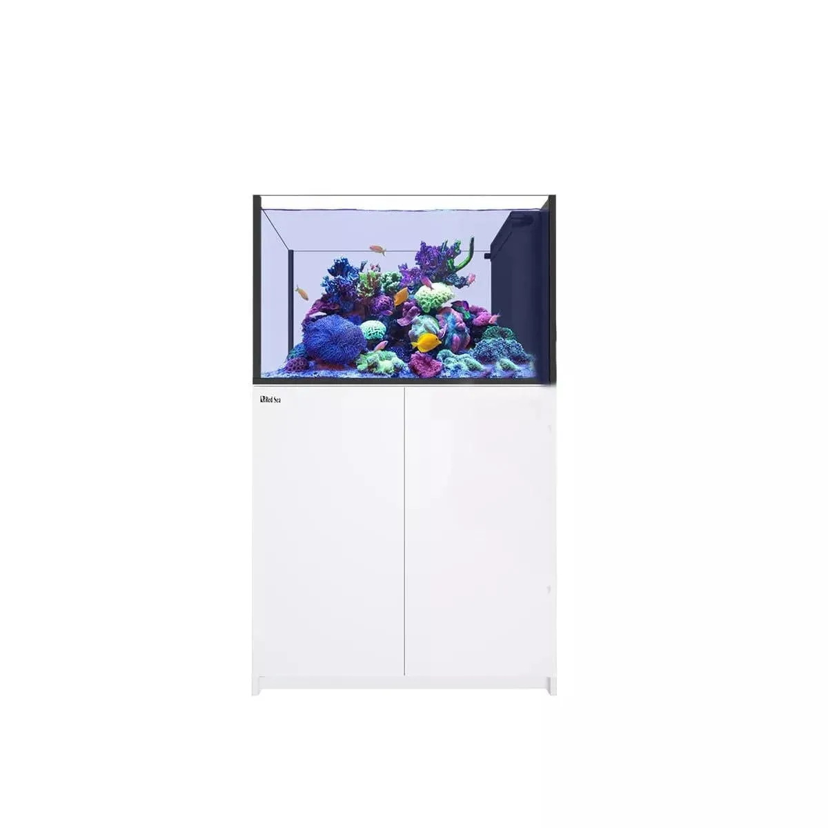Red Sea Reefer Peninsula G2   Deluxe 350 White