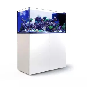 Red Sea Reefer Peninsula G2  Max 500 White